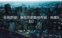 全网质疑：麻花传剧真相存疑 · 档案9312