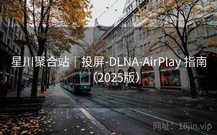 星川聚合站｜投屏-DLNA-AirPlay 指南（2025版）
