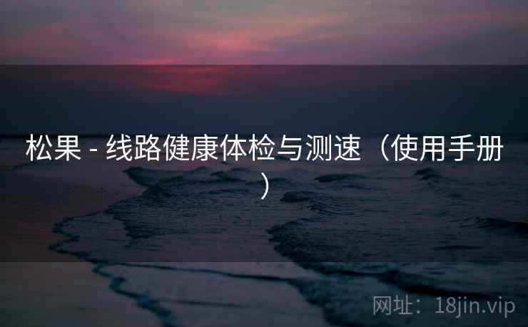 松果 - 线路健康体检与测速(使用手册) 松果 - 线路健康体检与测速(使用手册)